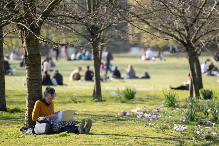 London to bask in warm sunshine with 17C highs after weeks of gloom