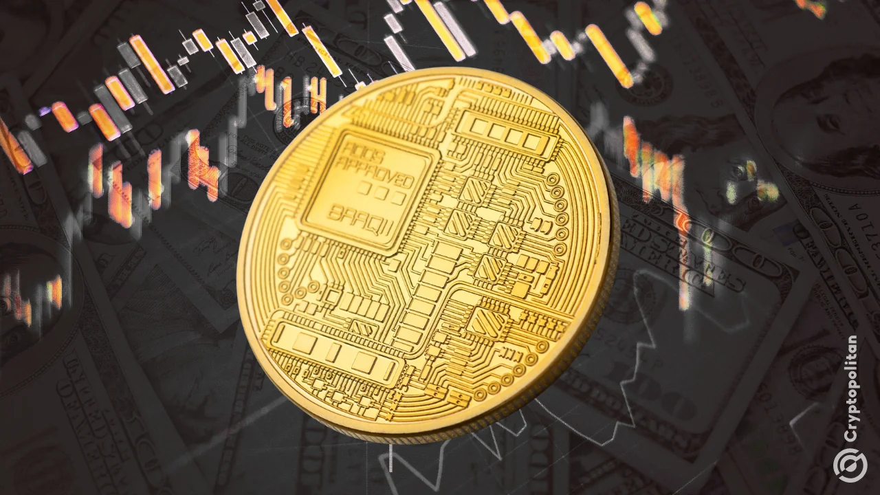 The wrapper economy: How the crypto treasury flywheel works