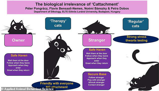 Cats are more independent than dogs - and don't need their owners ...
