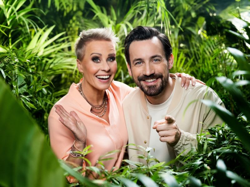 Das Dschungelcamp News 2026: Die aktuellen Schlagzeilen im IBES ...