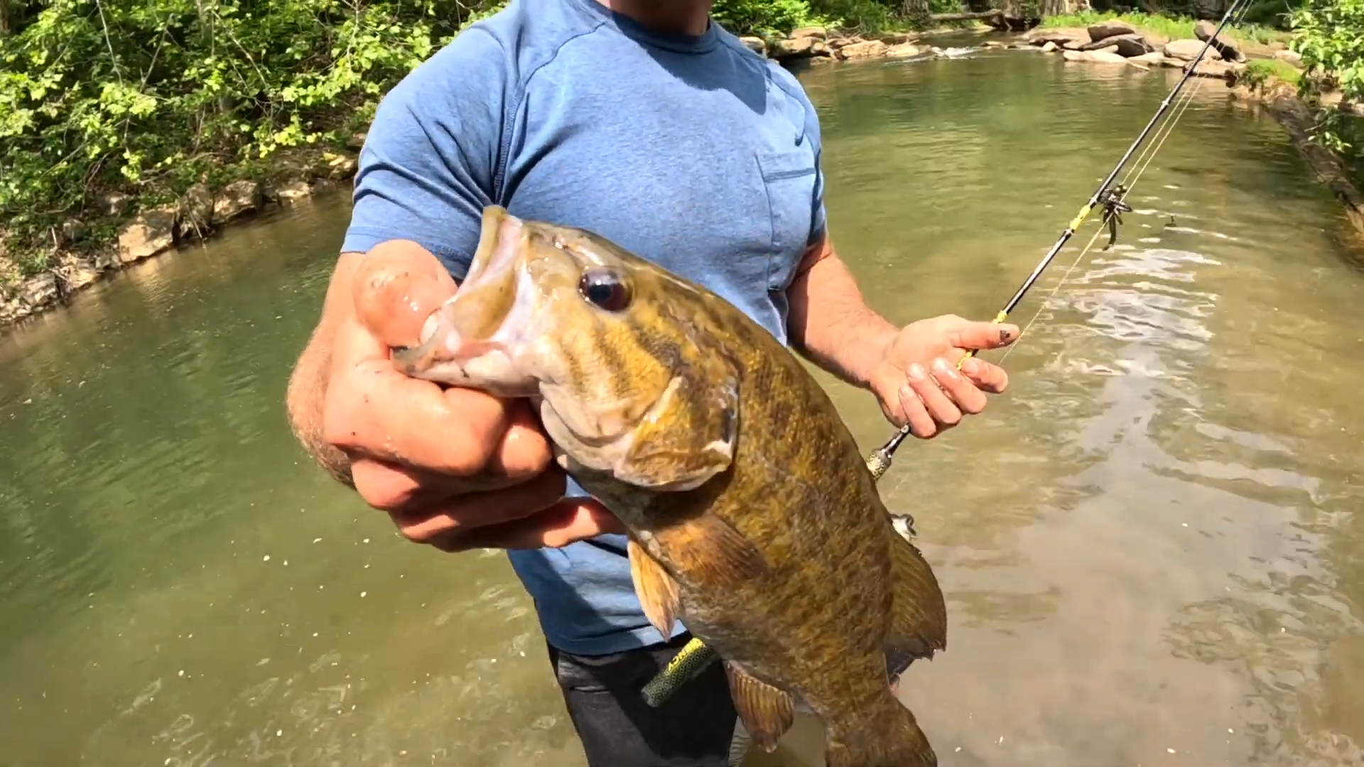 How we found giant smallmouth in a tiny hidden creek