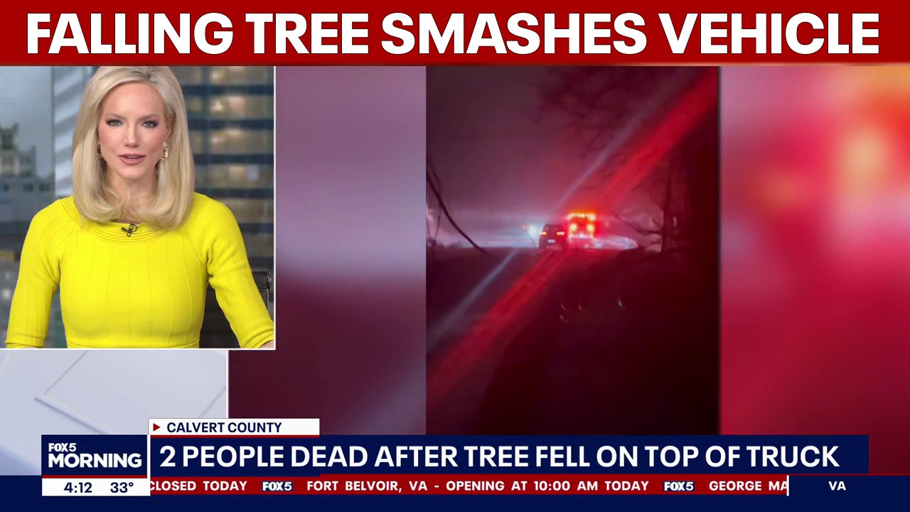 Police ID driver, passenger killed when falling tree smashes vehicle