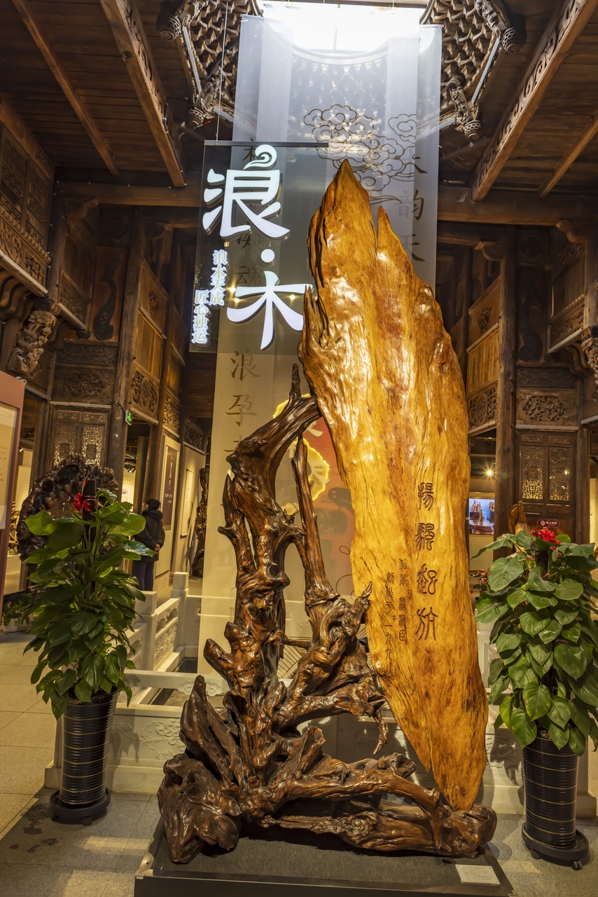 独家：吉林市松花江浪木文博馆开馆 500余件浪木精品集中亮相引人瞩目
