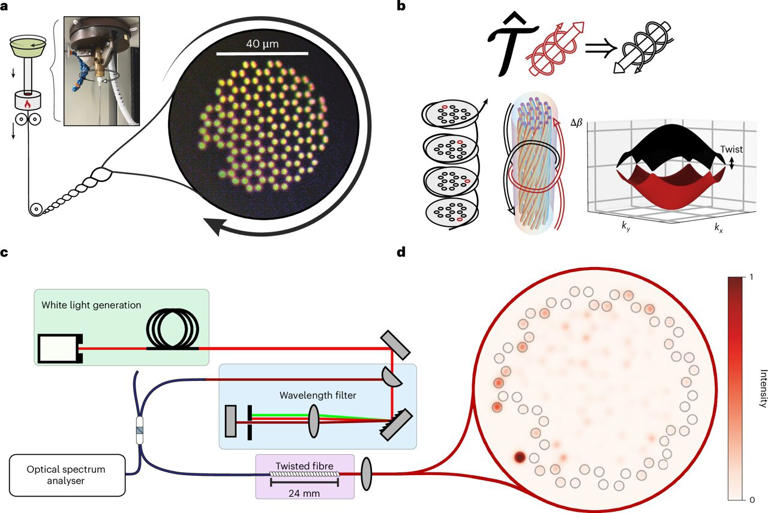 Twisting optical fiber creates a robust new pathway for light