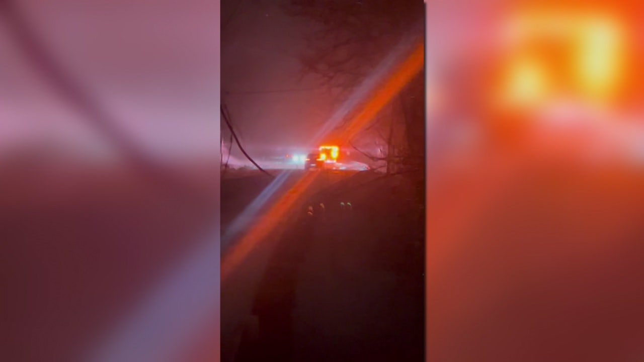 Police ID driver, passenger killed when falling tree smashes vehicle in ...