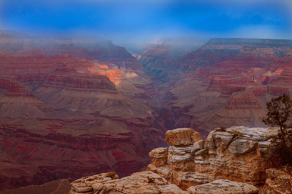 Alarming Discovery in the Grand Canyon Challenges a Century of Silence