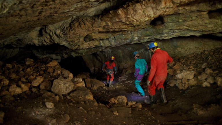 Neanderthals: Facts, news, features and articles about our extinct ...