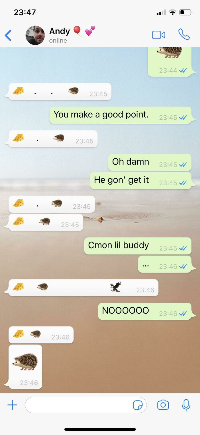 36 Funny Texts That Show What A Great Sense Of Humor People Have