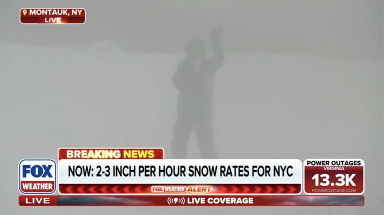 ‘I’m stuck!’ Massive East Coast snowfall produces some wild cable news hits