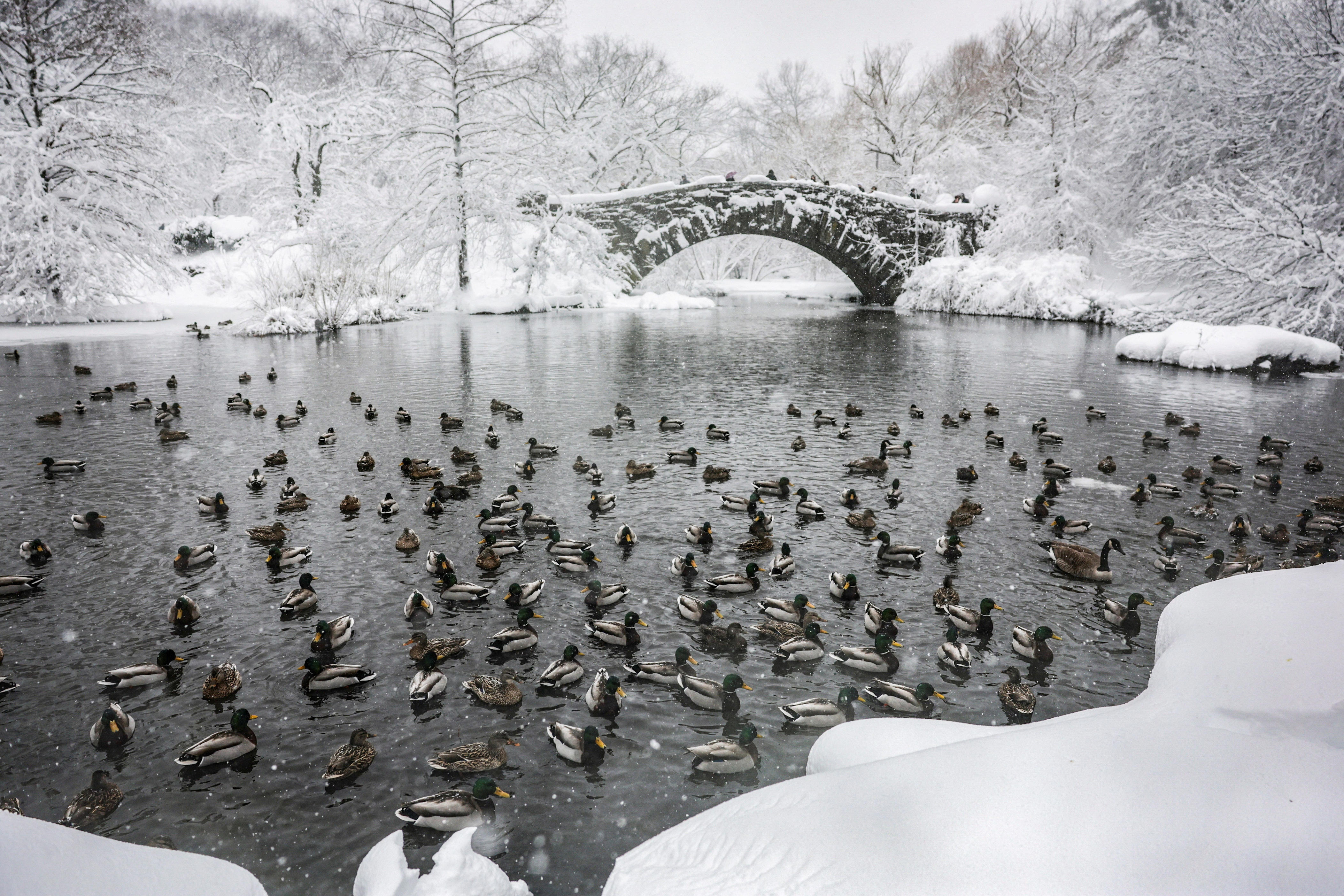 Best snowstorm images reveal nature's power and beauty