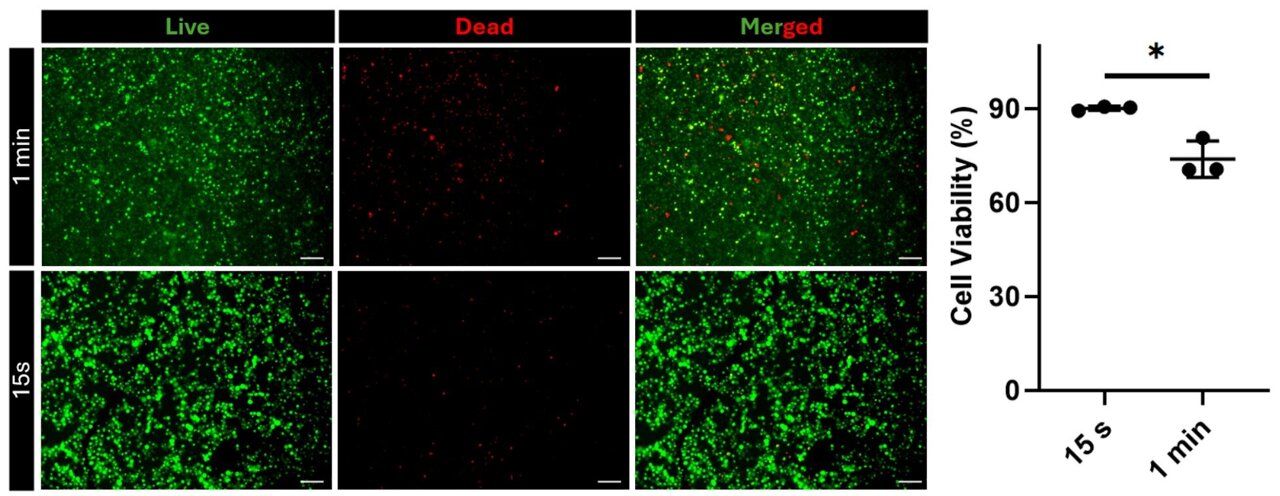 Smarter tissue and organ repair thanks to next-gen hydrogel