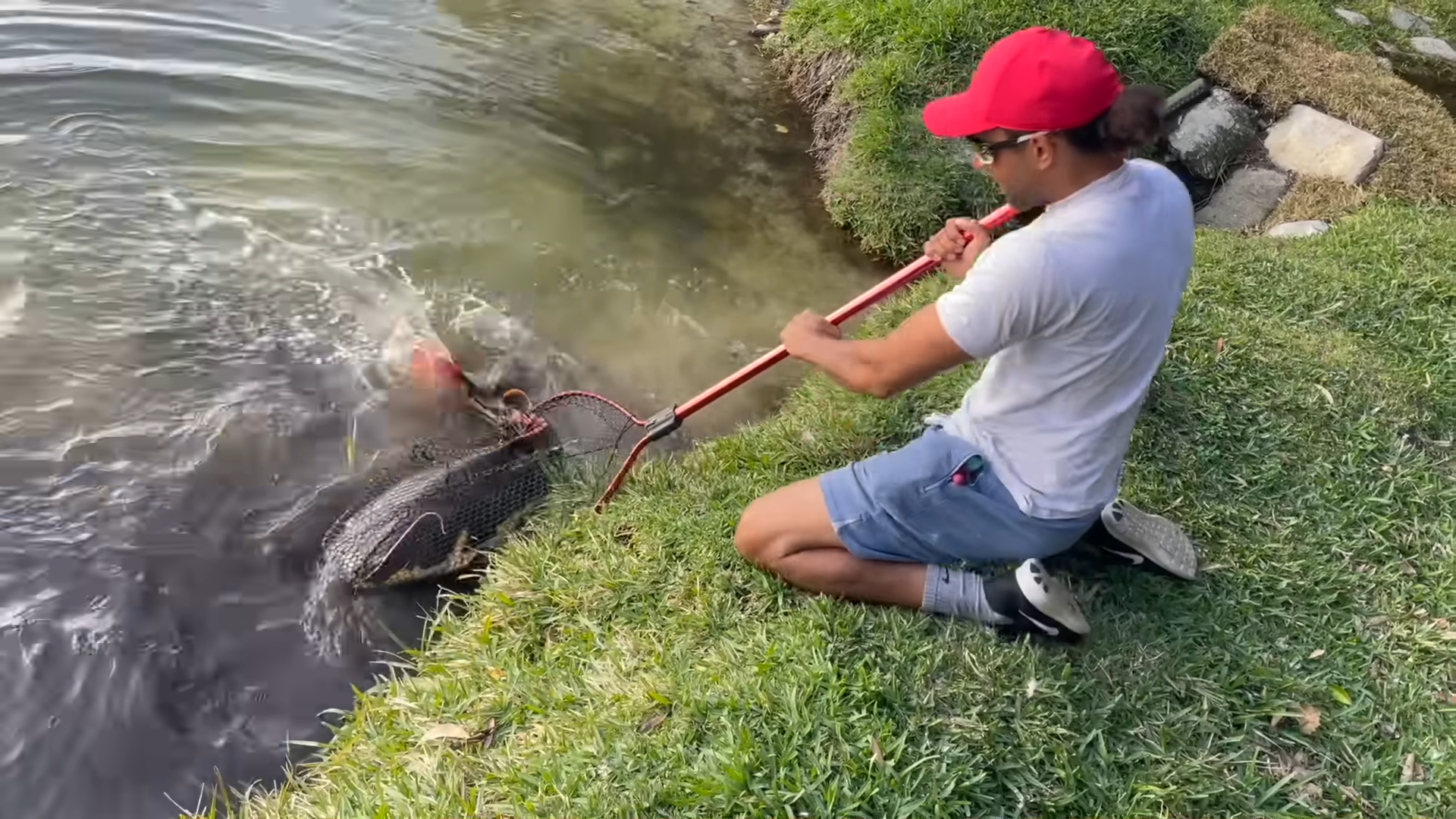 Watch what happens when he gets too close to this monster catfish
