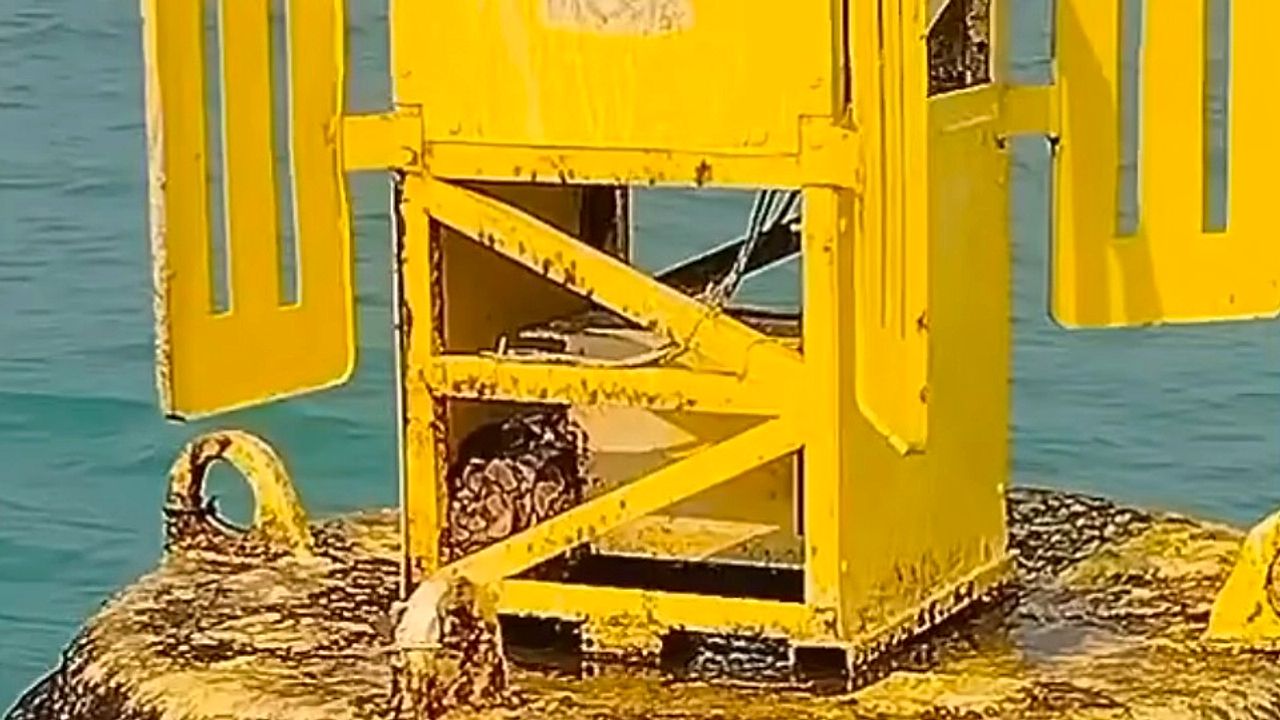 Fishermen rescue python stranded on buoy in the middle of the ocean
