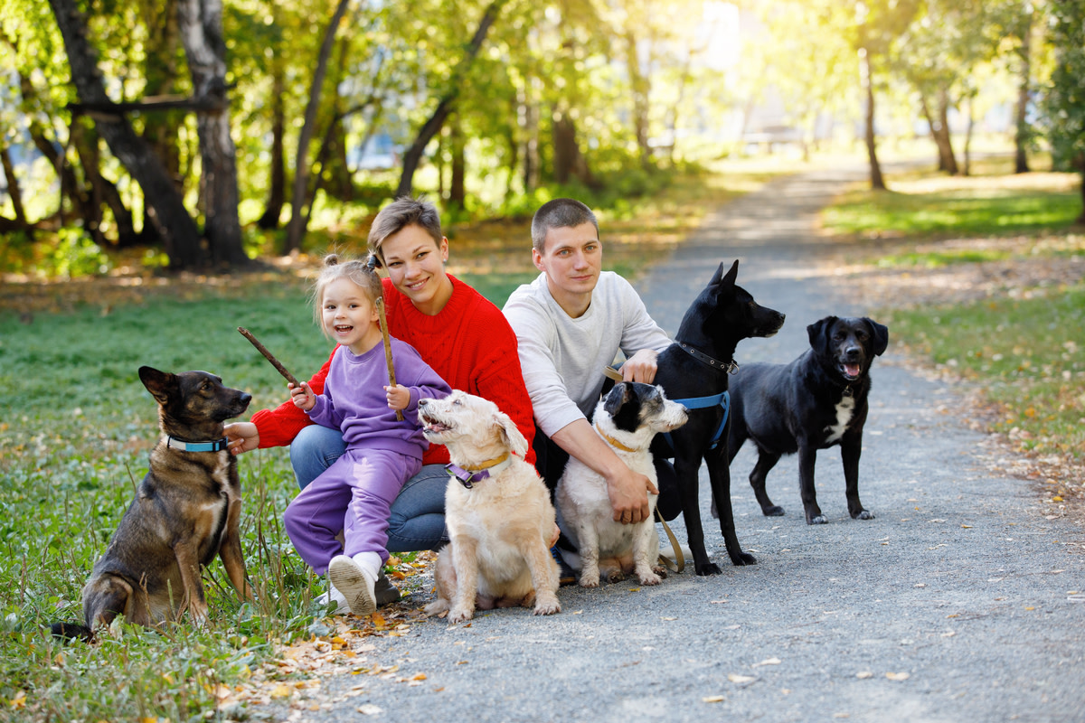 Pup ranked #1 best dog breed for families with kids is a cheerful ...
