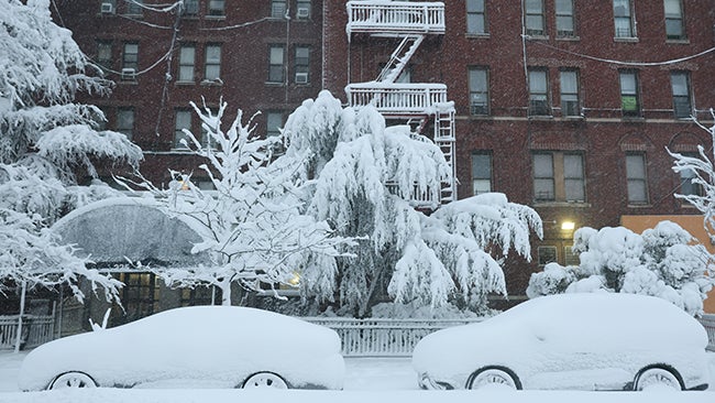 How much snow has fallen in the historic East Coast blizzard<br>