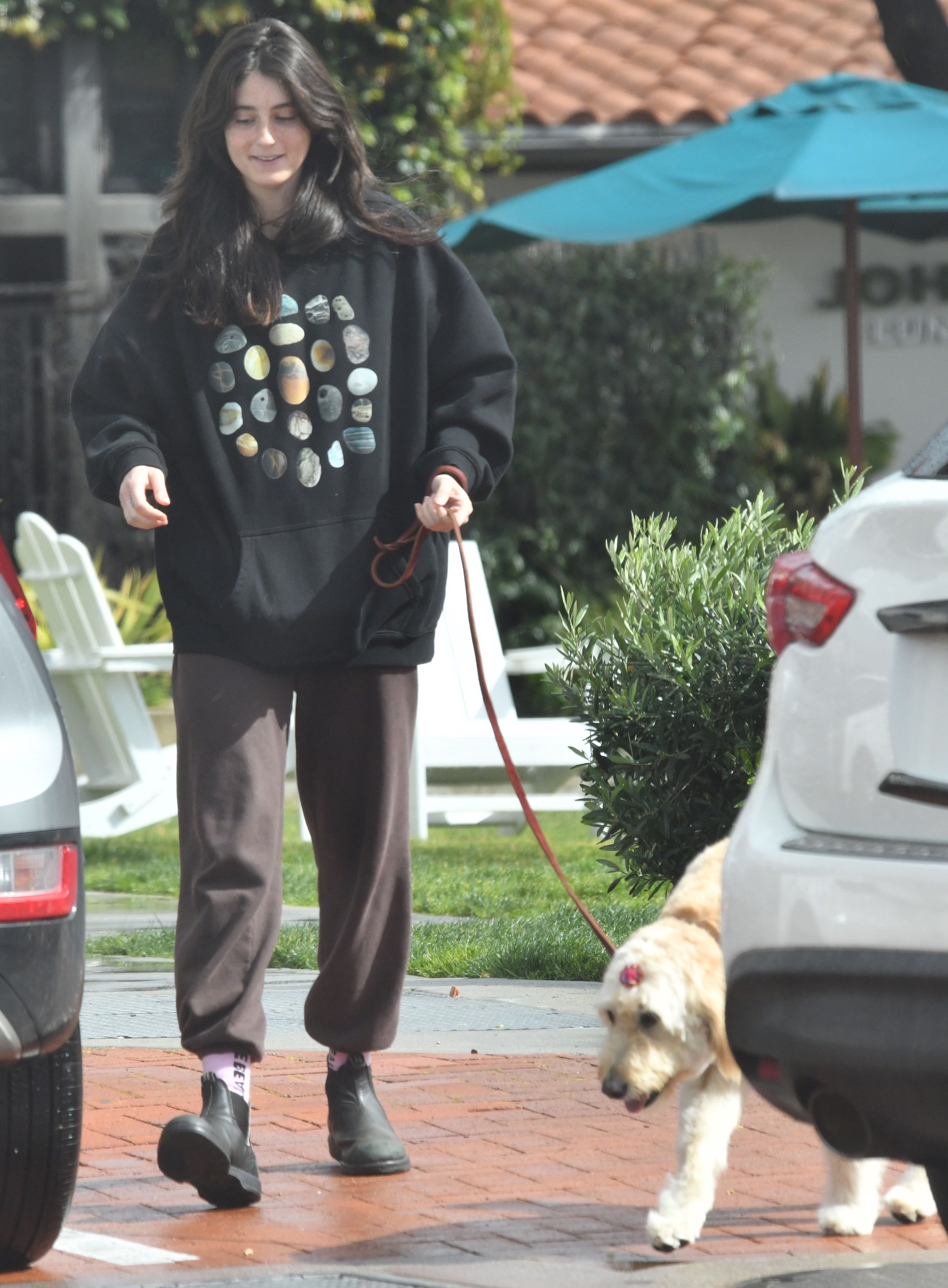 Rob Reiner’s kids try to resume normal life as brother Nick enters plea ...