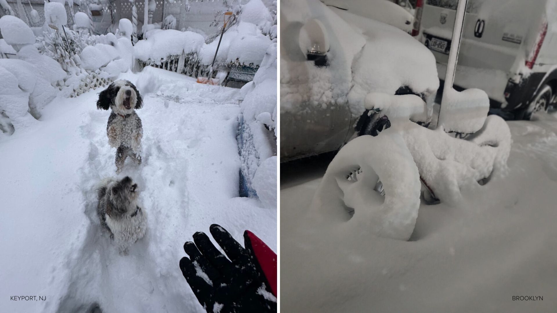 Snowfall totals across New York City, Tri-State area from the blizzard ...