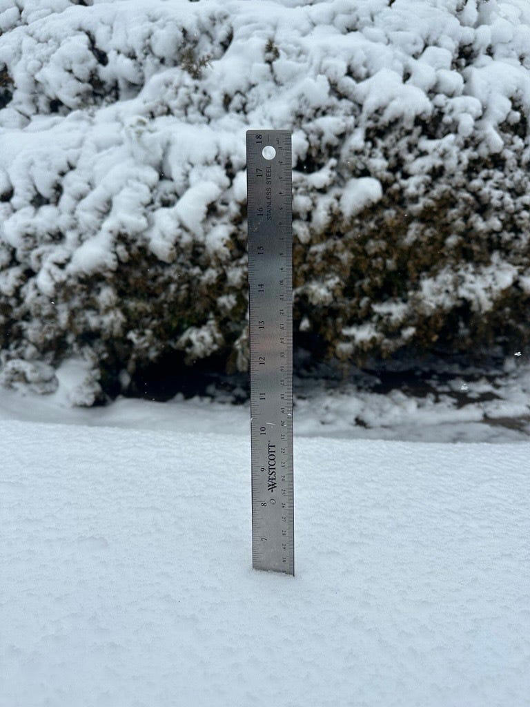How much snow fell in Salisbury and Ocean City? Find out in photos