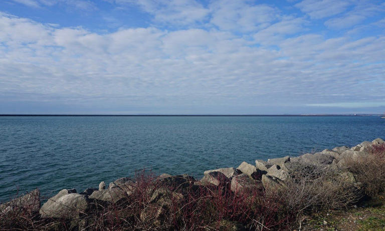 Michigan man fined for illegal fishing across border on Lake Erie
