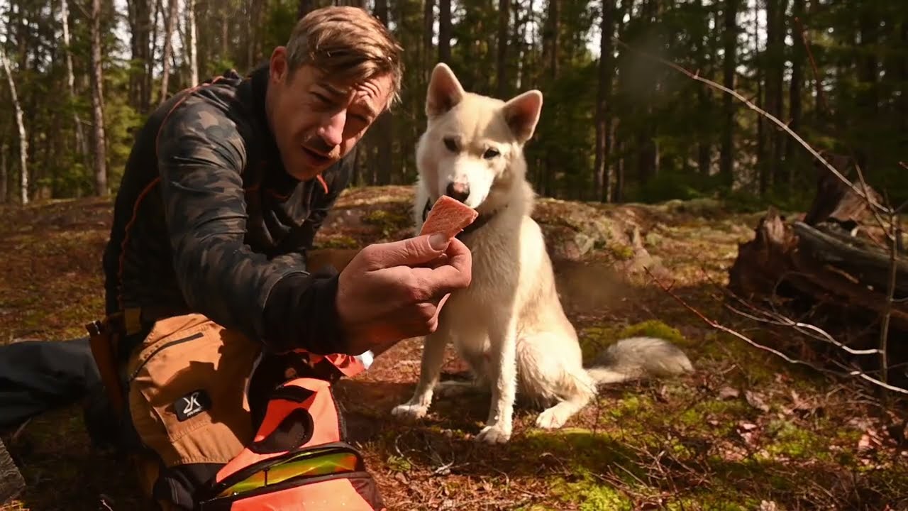 Alone in the wild for 3 nights - my dog never left my side