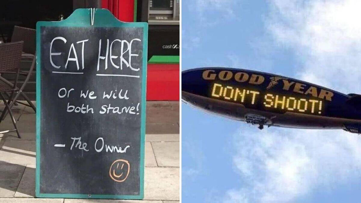Humorous signs from daily life