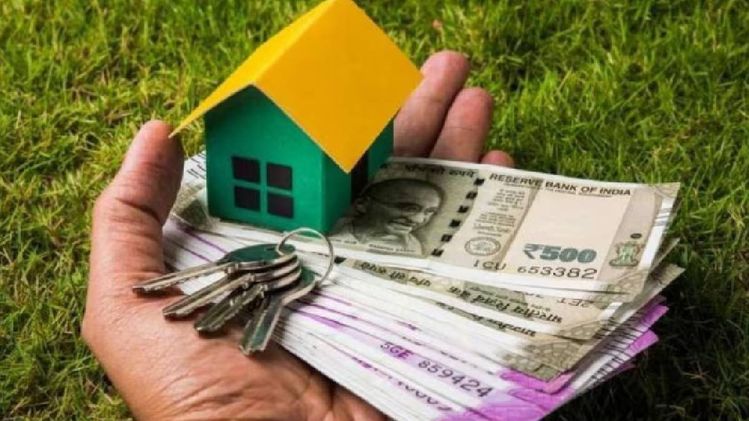 Earn money from vacant land: পড়ে থাকা এক টুকরো জমি থেকে নিয়মিত আয়