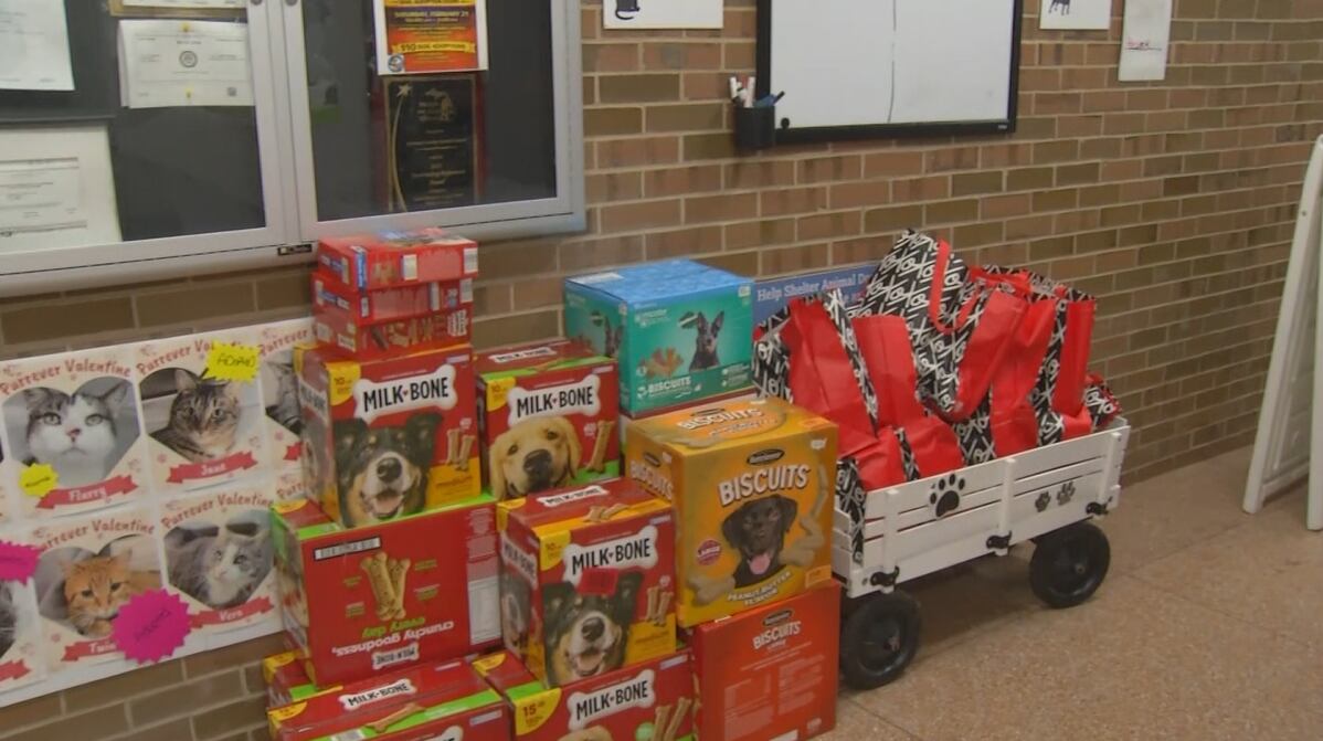 Emergency adoption event following local animal rescue