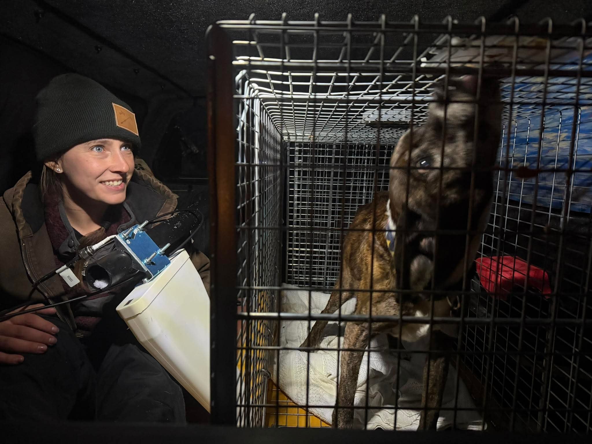 Dog that bolted into Rocky Mountains reunited with owner after 43 days