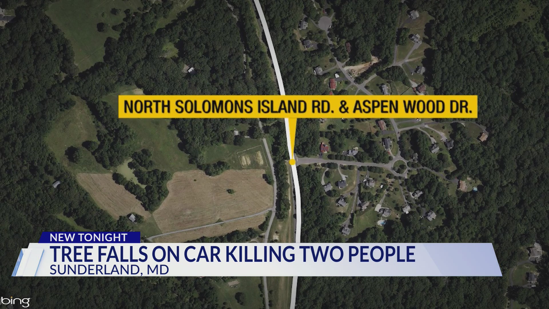 2 dead, 1 seriously injured after tree falls on vehicle in Calvert ...