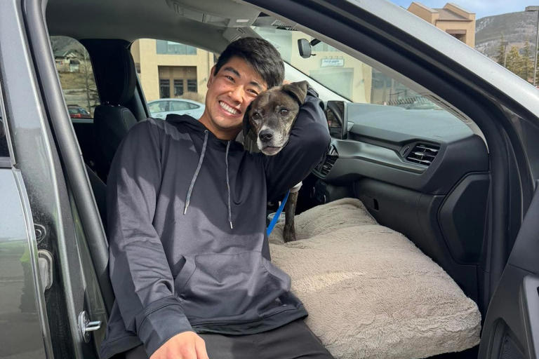 Dog that bolted into Rocky Mountains reunited with owner after 43 days