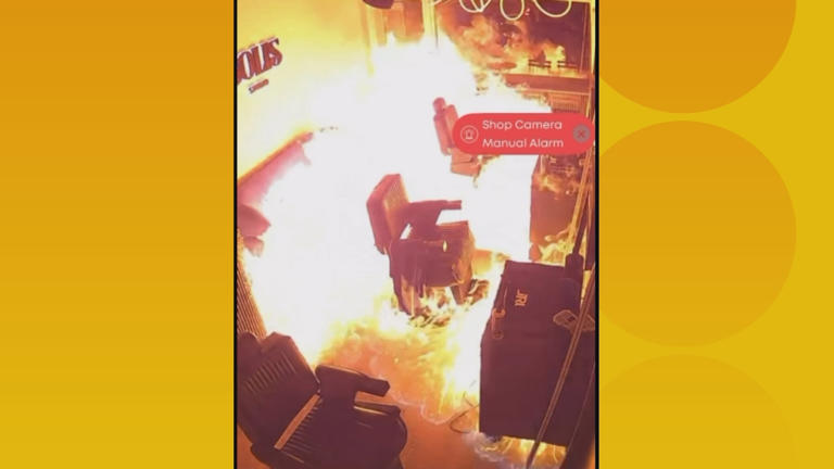 Adelaide police are investigating two suspicious fires.