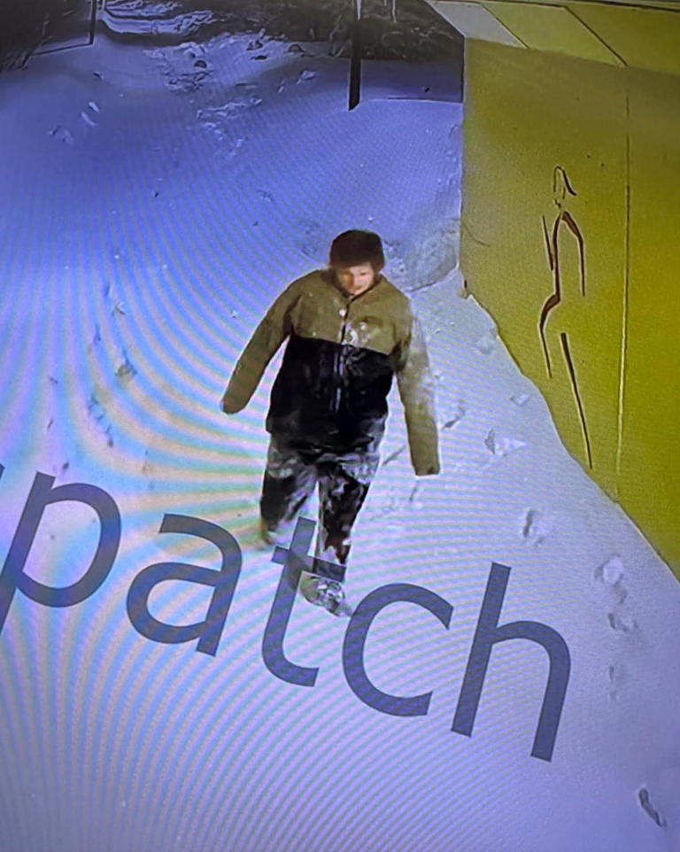 Michigan college student vanishes during 'absolute blizzard' after ...
