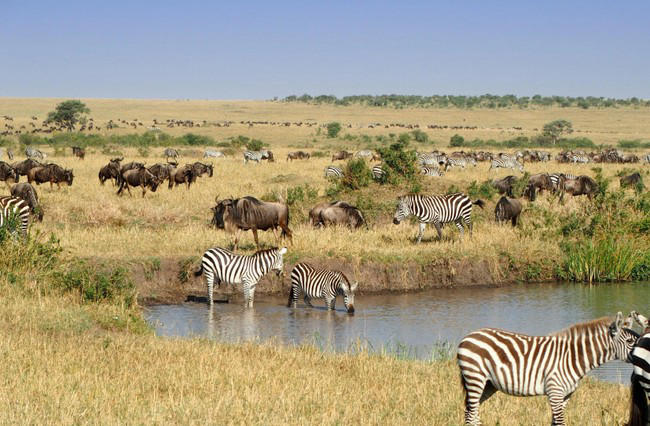 Forget the tourist traps: these 6 serene destinations are 2026’s best ...