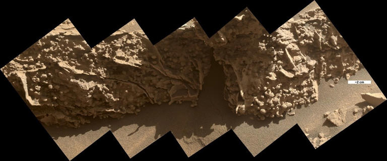 Spider webs on Mars: NASA rover discovers clues about existence of ...
