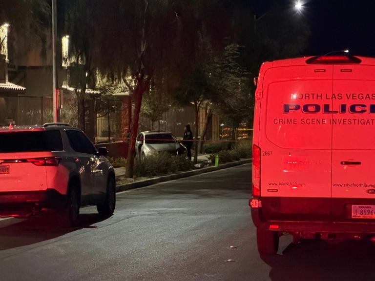 Man accused of shooting, killing man after fight involving North Las ...