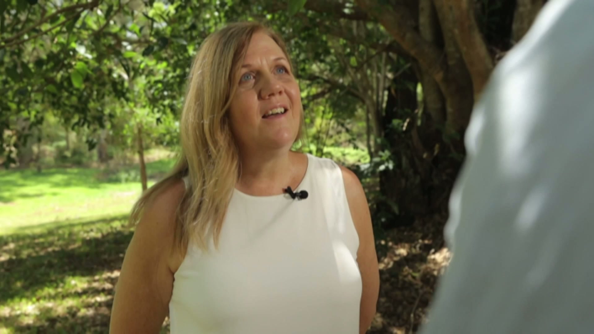 Experts point to promising signs for Southeast Queensland koala ...