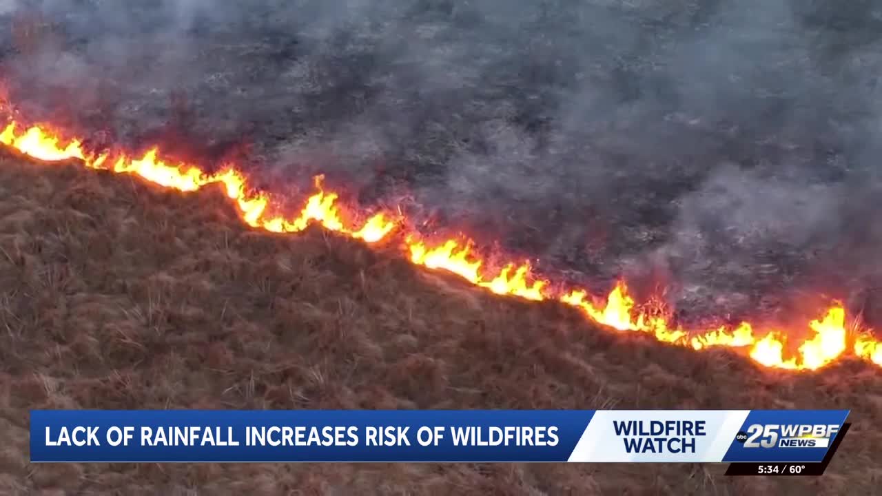 Palm Beach County faces increased wildfire risk due to drought and freeze