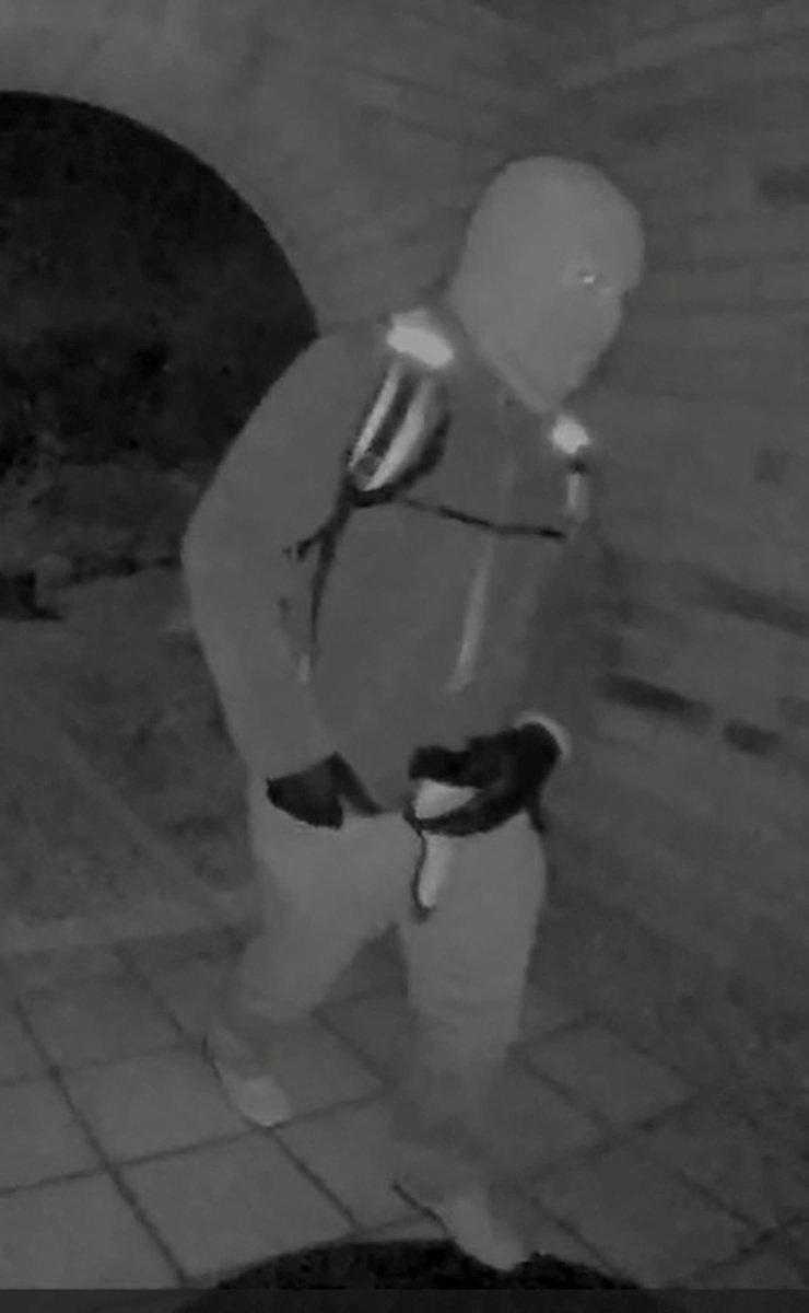 Nancy Guthrie kidnapping suspect caught on doorbell camera before her ...