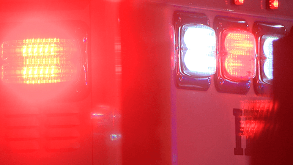 Dog dies in Mishawaka house fire