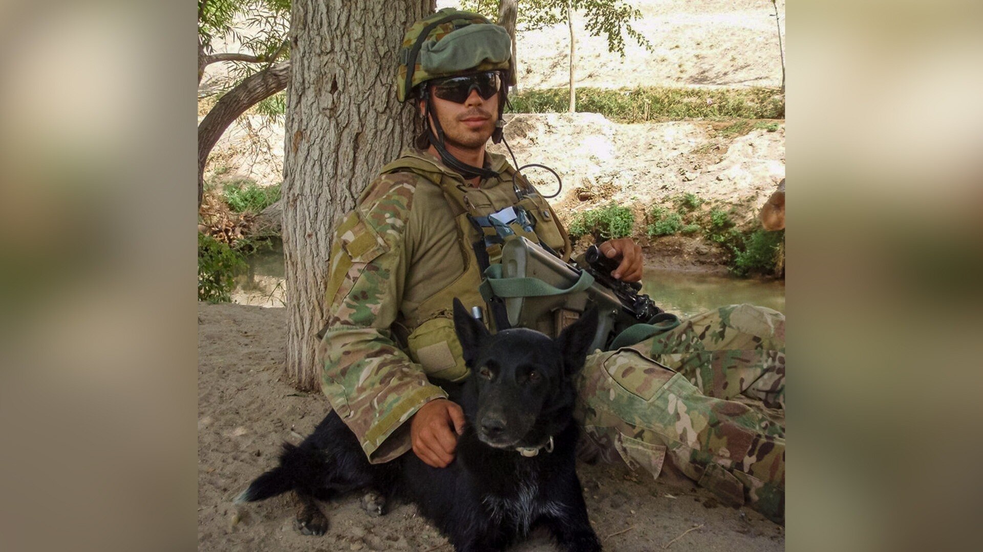Explosive detection dog Flo Joe posthumously awarded for military ...
