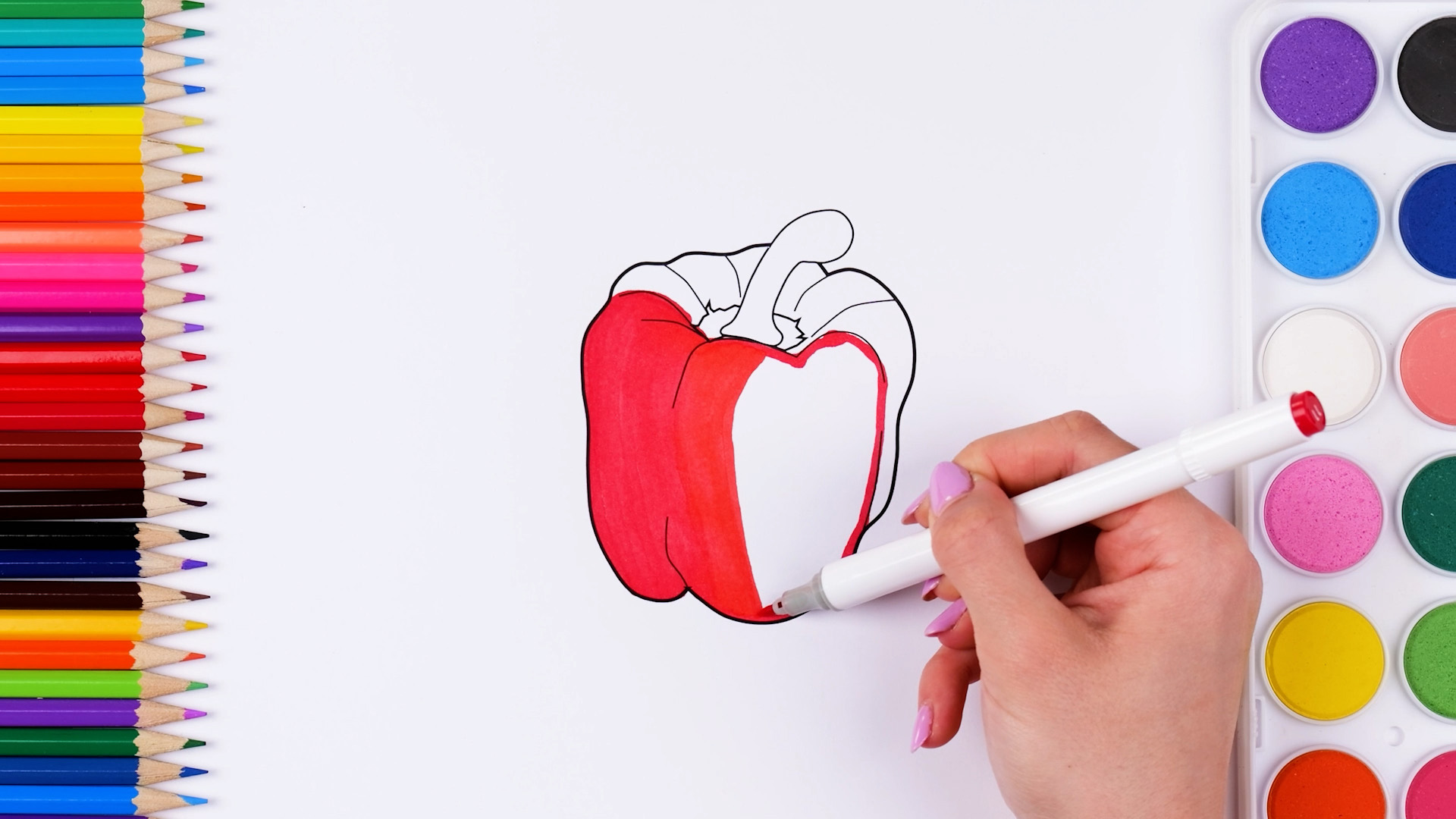 Bell pepper drawing | Coloring in and learning