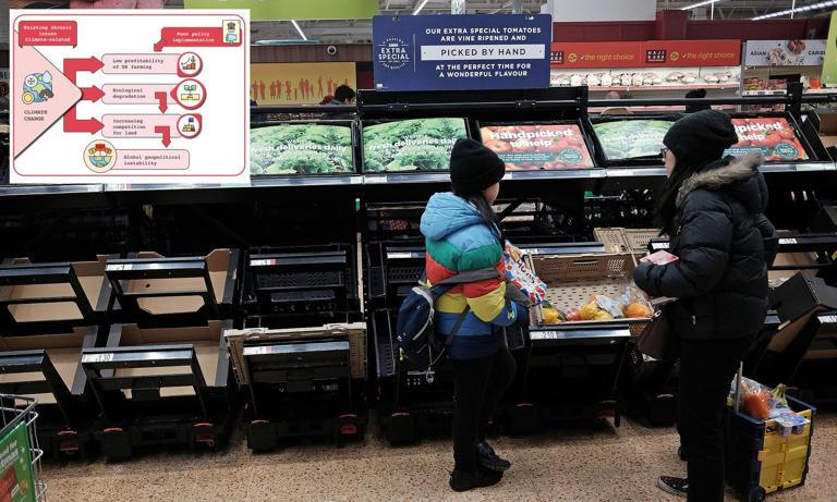 'Tinderbox' Britain is 'one shock away from food riots', experts warn