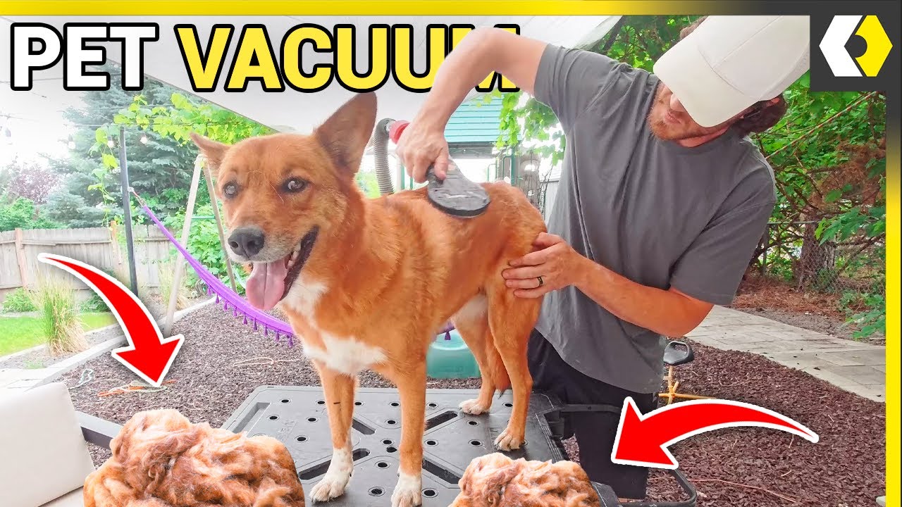 DIY pet vacuum that solves all shedding problems