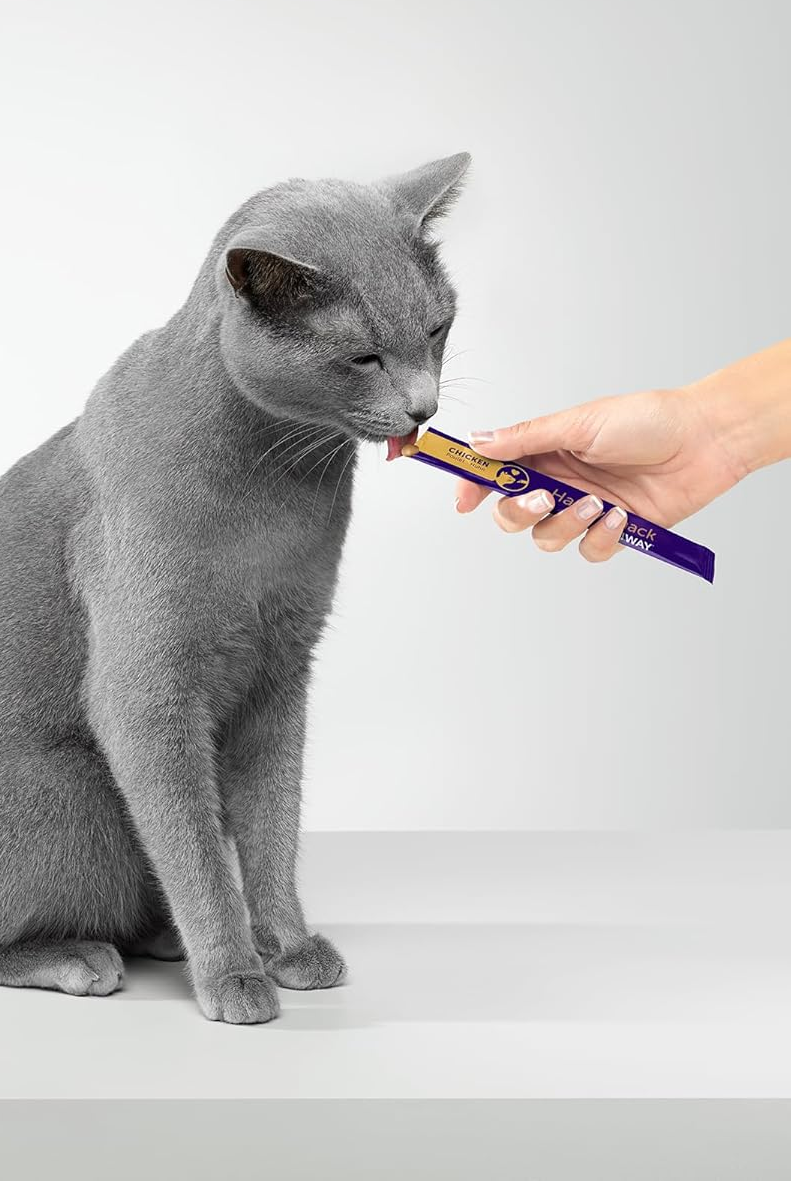 My picky cats are obsessed with these squeezable treats — a vet ...