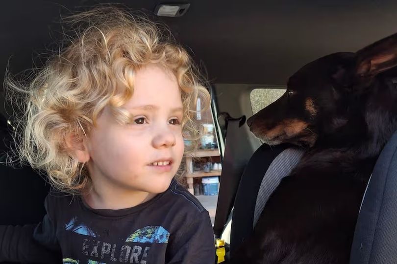 Parents give 'unbearable' new update in search for missing four-year ...