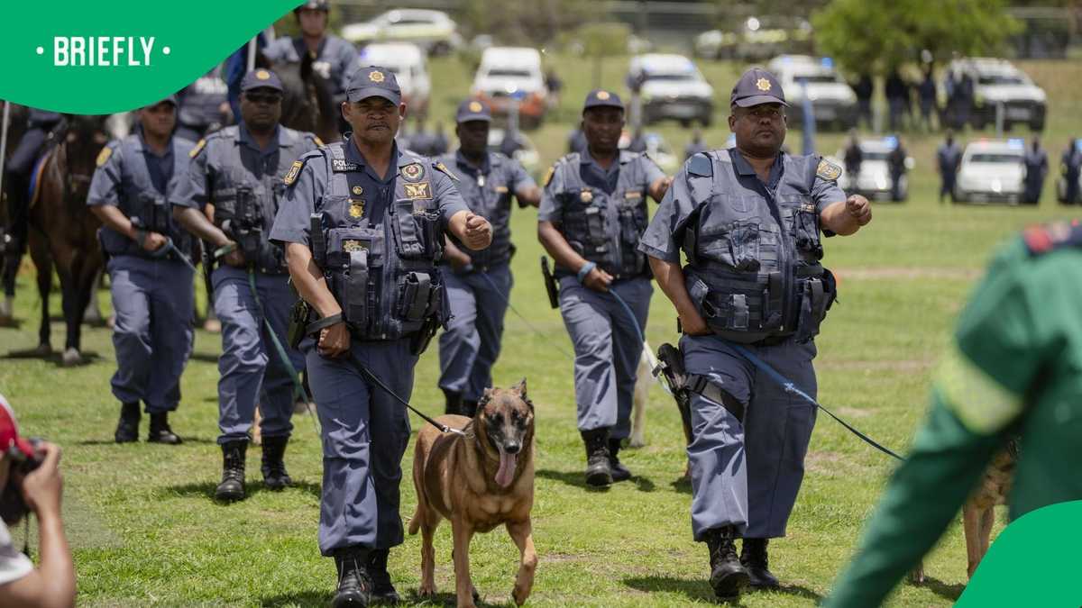 Cash-in-transit heist suspects killed in shootout with South African ...