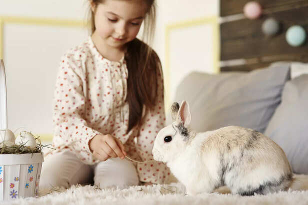 How Pets Help Children With Autism Thrive At Home