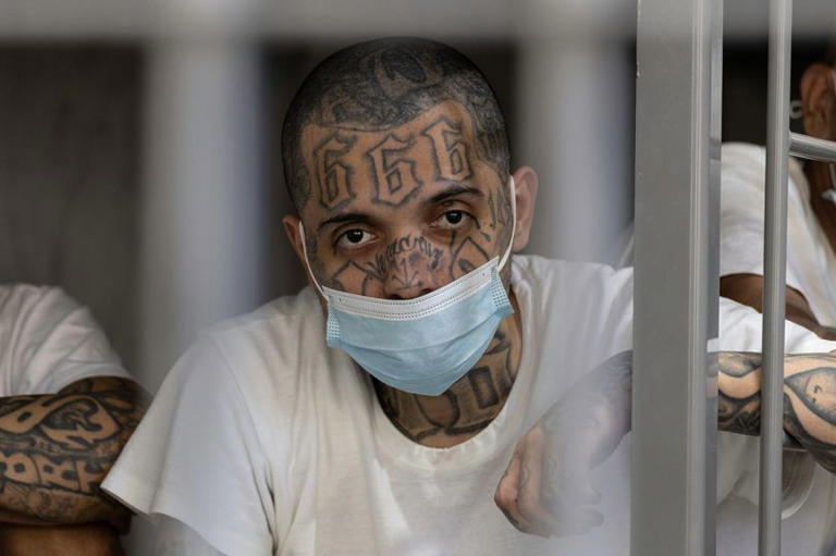 From Mexican cartel to British mob – the 19 most powerful gangs in ...