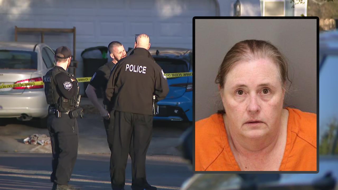 Pinellas Park woman arrested for attempted murder after stabbing ...