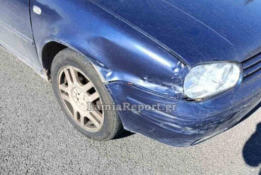 troch-leoph004-600x403